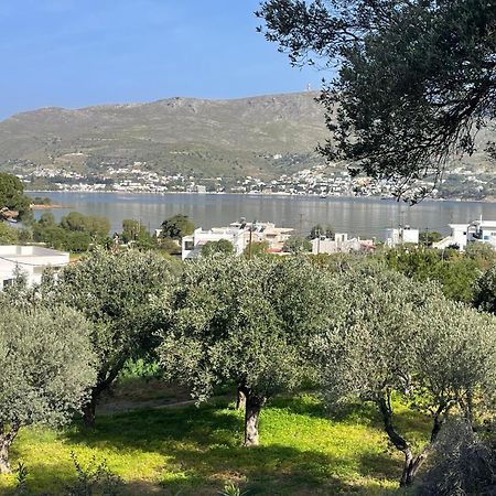 The Velanidies - Οι Βελανιδιές Agia Marina  Exterior photo