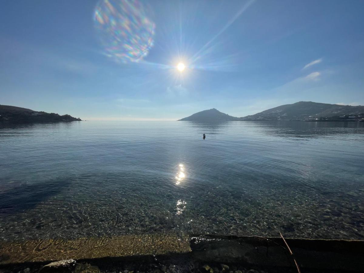 The Velanidies - Οι Βελανιδιές Agia Marina  Exterior photo