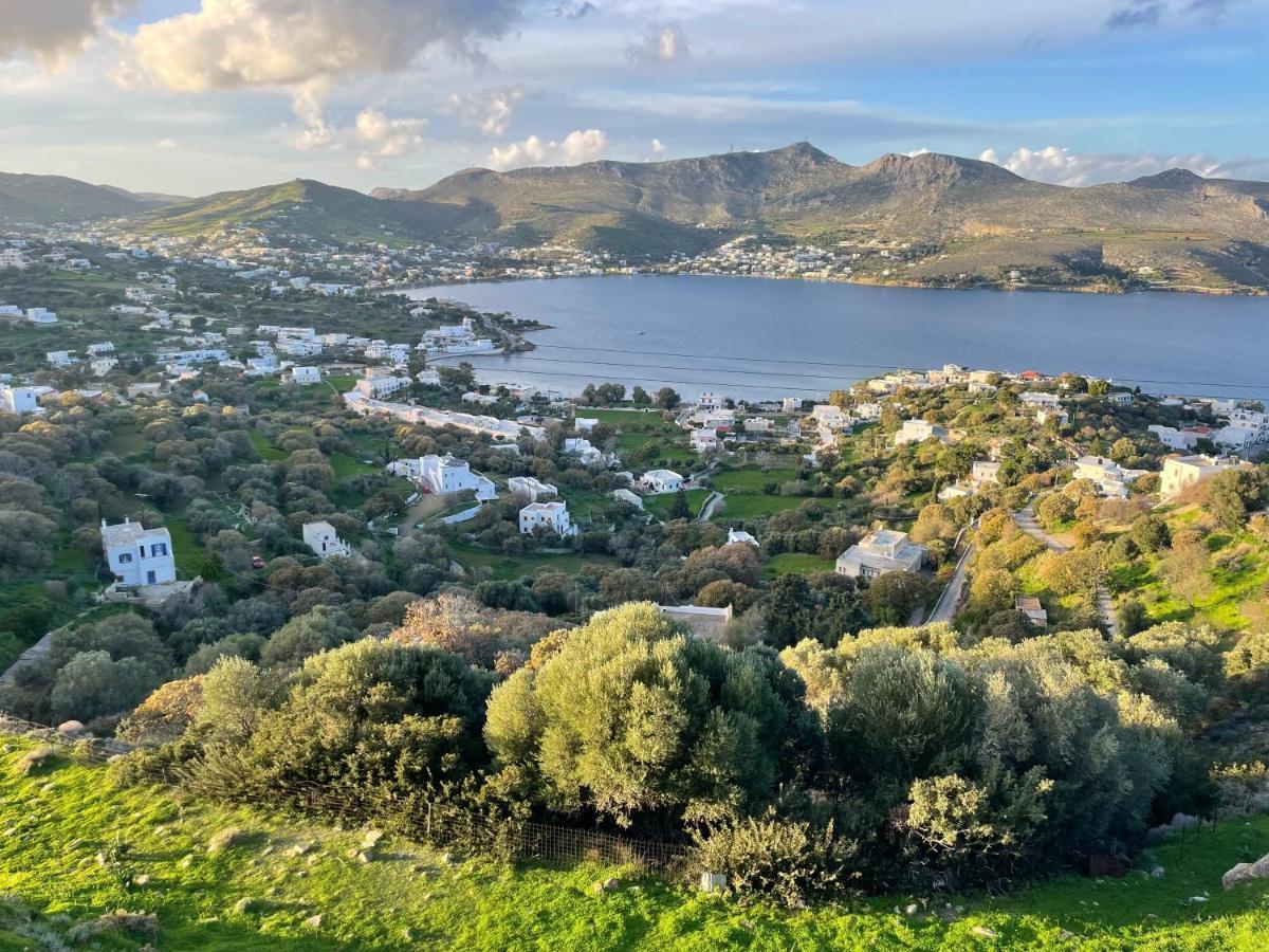 The Velanidies - Οι Βελανιδιές Agia Marina  Exterior photo
