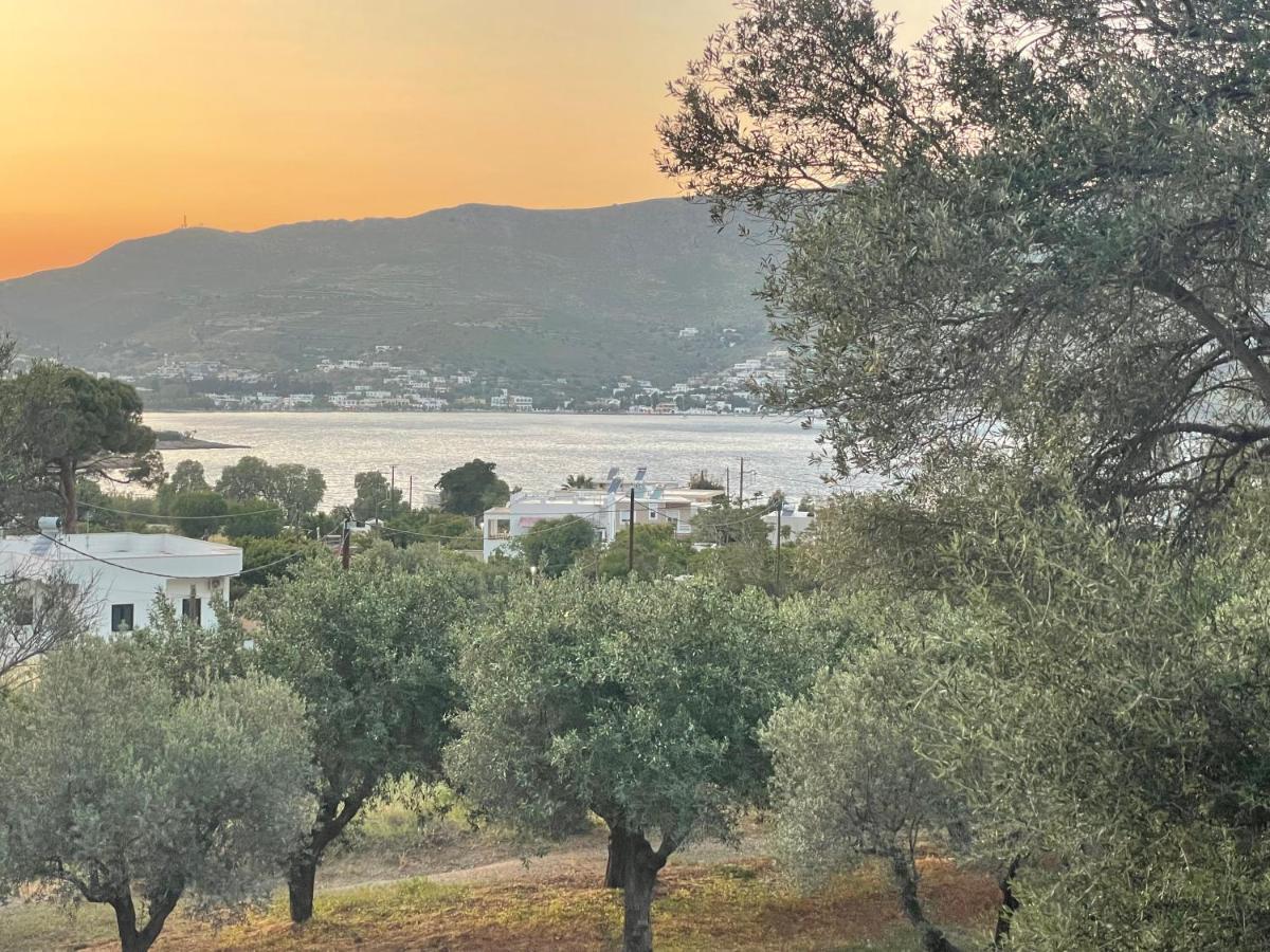 The Velanidies - Οι Βελανιδιές Agia Marina  Exterior photo