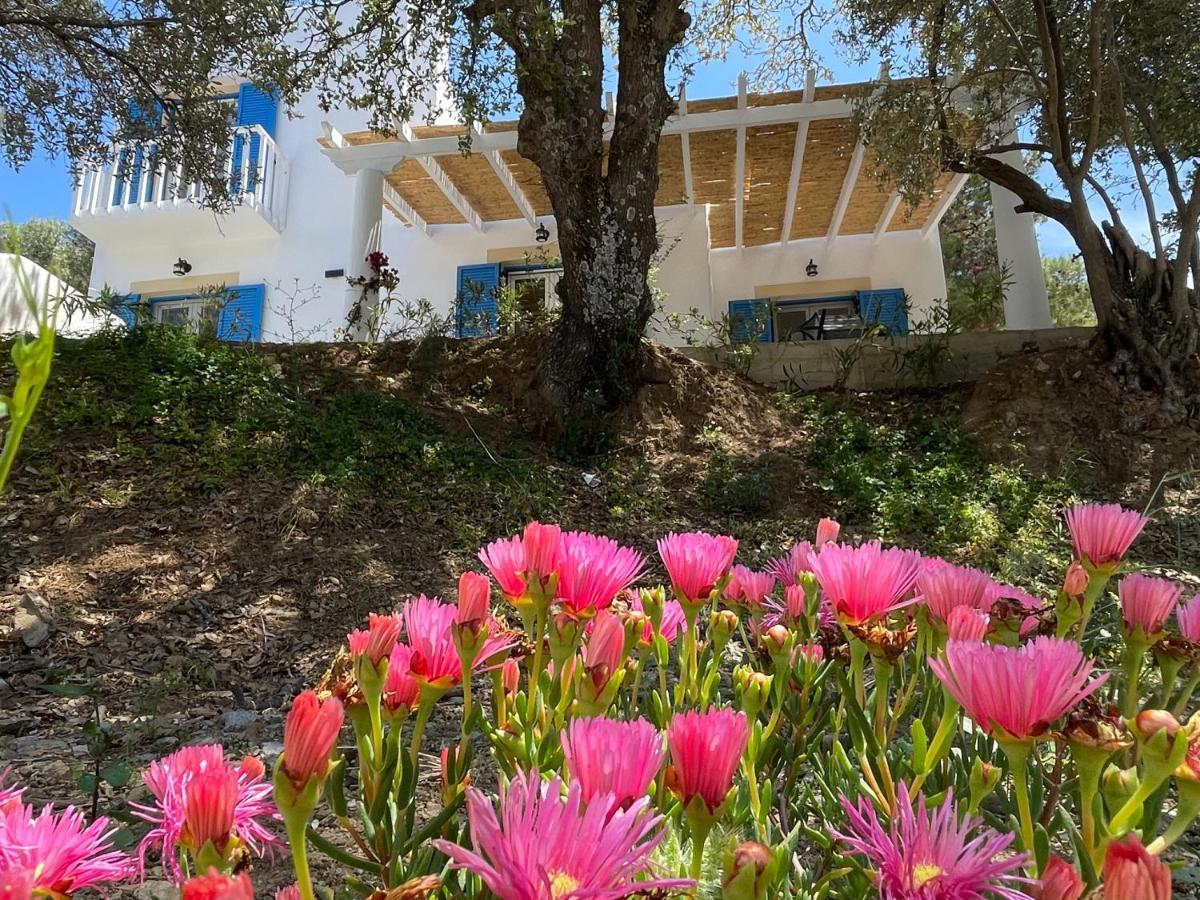 The Velanidies - Οι Βελανιδιές Agia Marina  Exterior photo