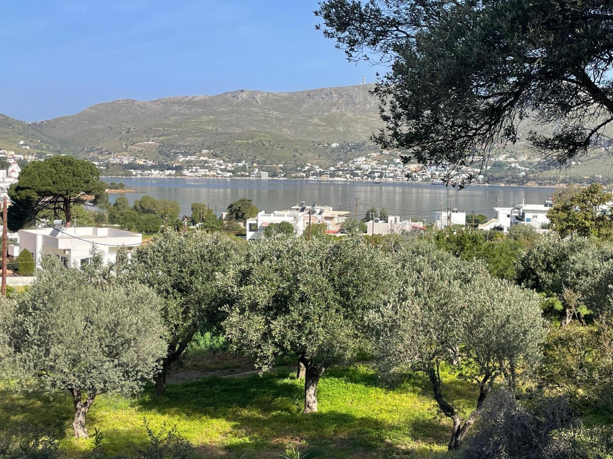 The Velanidies - Οι Βελανιδιές Agia Marina  Exterior photo