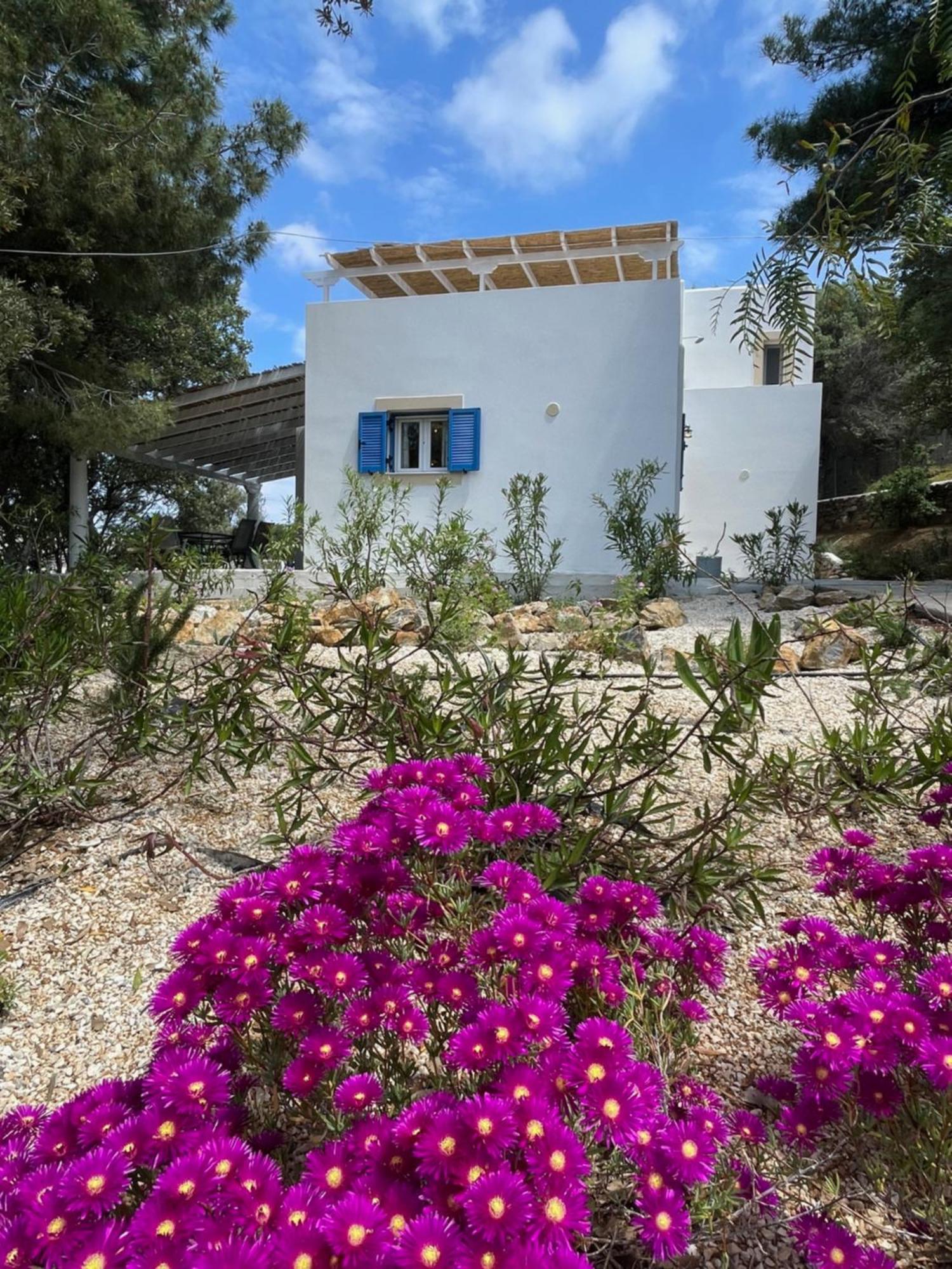 The Velanidies - Οι Βελανιδιές Agia Marina  Exterior photo